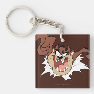 TAZ™ Bursting Through Page Key Ring