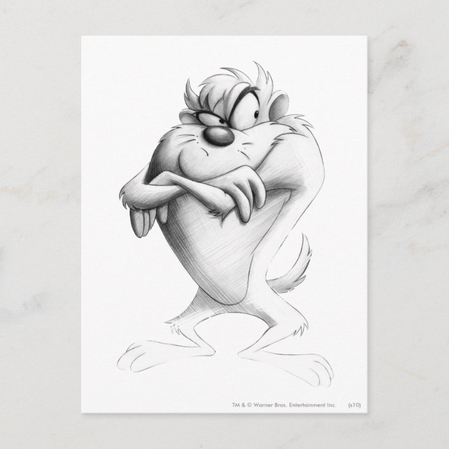 TAZ™ Drawing Postcard (Front)