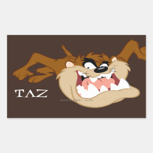 TAZ™ Evil Grin Rectangular Sticker