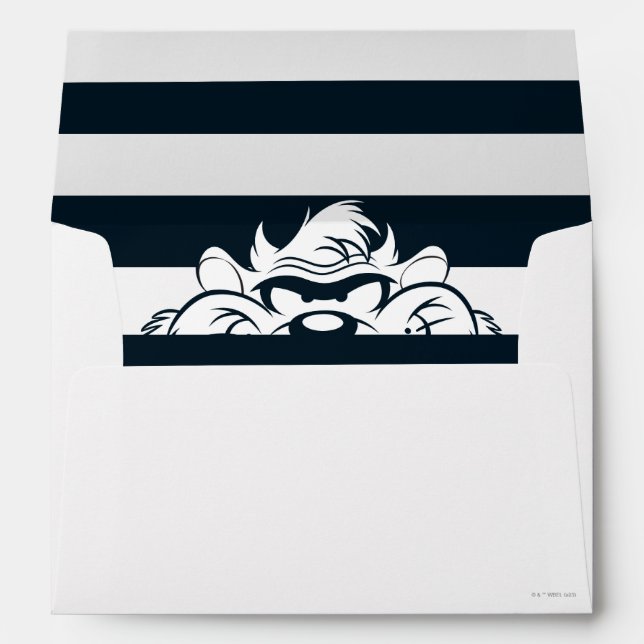 TAZ™ Hiding In Stripes Envelope (Back (Bottom))