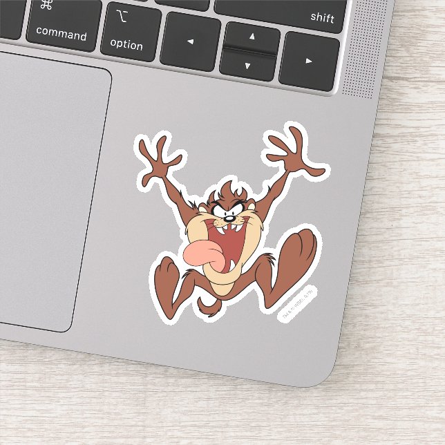 TAZ™ Leaping (Detail)