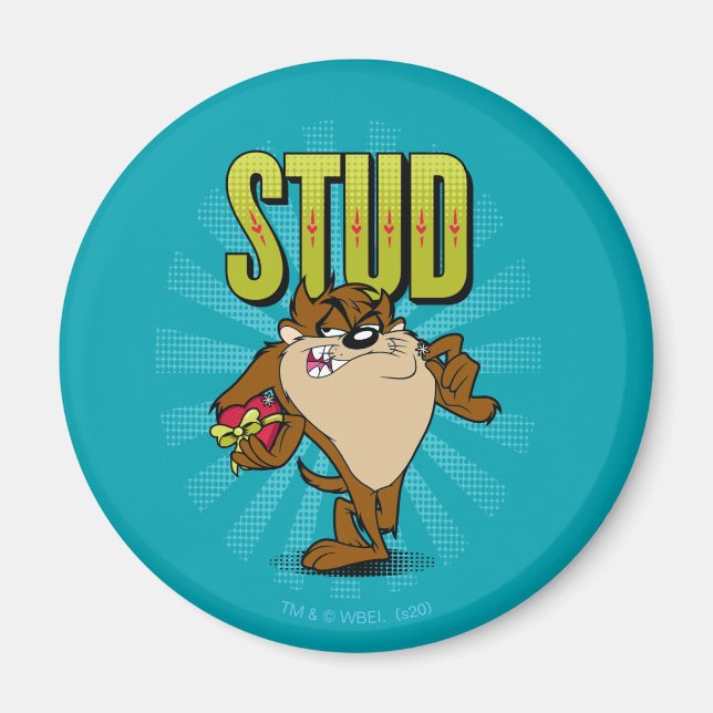 TAZ™ - Stud Magnet (Front)