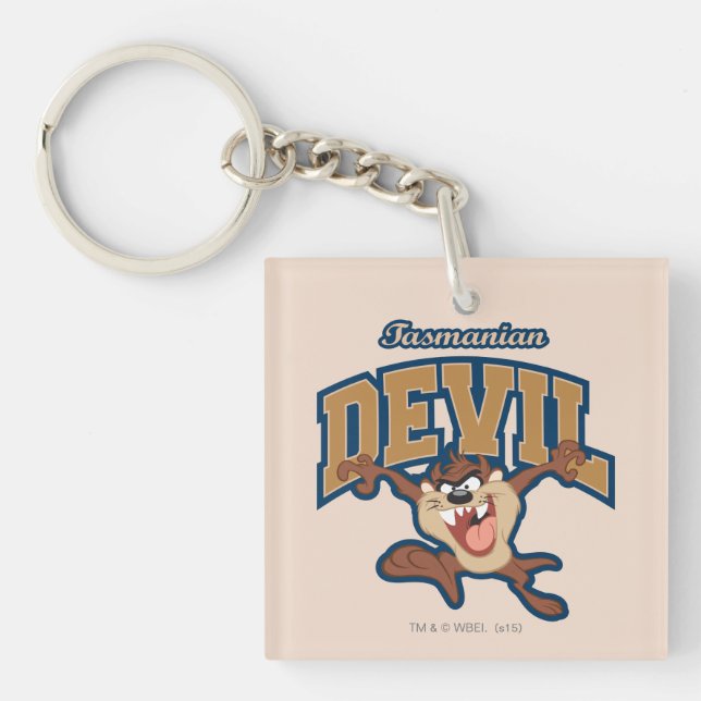 TAZ™ Tasmanian Devil Patch Key Ring (Front)