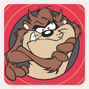 TAZ™ Through LOONEY TUNES™ Circles Square Sticker