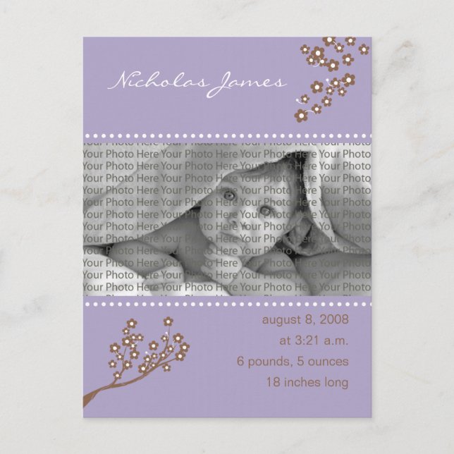 {TBA} Baby Birth Announcement Purple Branch Postcard (Front)