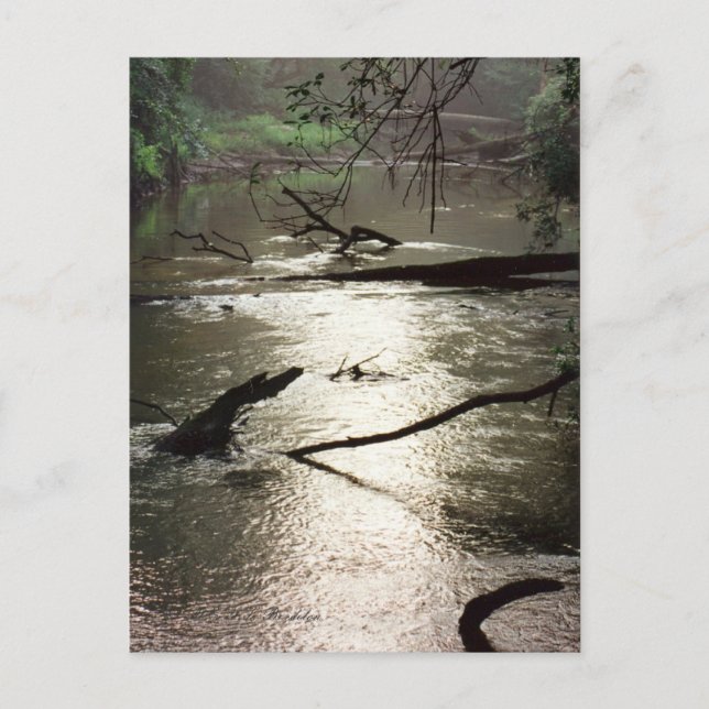 Tchefuncte Glimmer Postcard (Front)