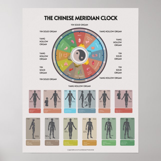TCM Meridian Organ Clock Poster, Chinese Medicine Poster (Front)