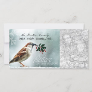 TCWC - Holiday Snowy House Sparrow