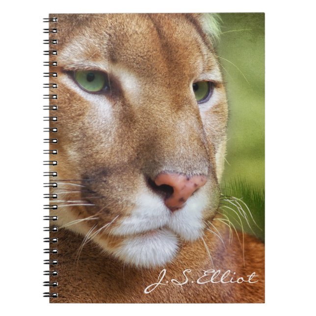 TCWC - Puma Mountain Lion Art Notebook (Front)