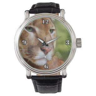 TCWC - Puma Mountain Lion Art Watch