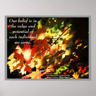 TDCJ HR Staff Developement Poster - Customised