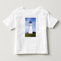 Te Araroa, New Zealand. A lighthouse gives