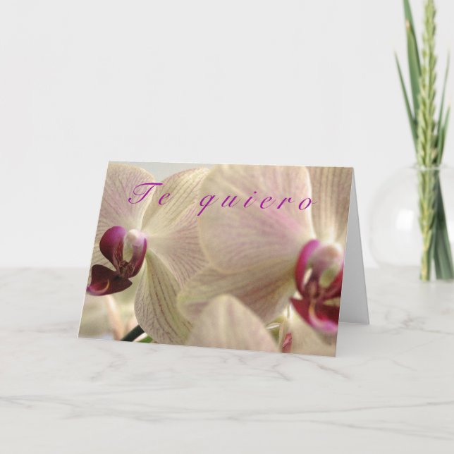 "Te Quiero" Holiday Card (Front)