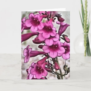 Te quiero,spanish valentines day card