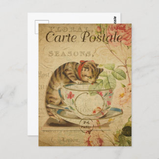 Tea Cup Kitten Postcard