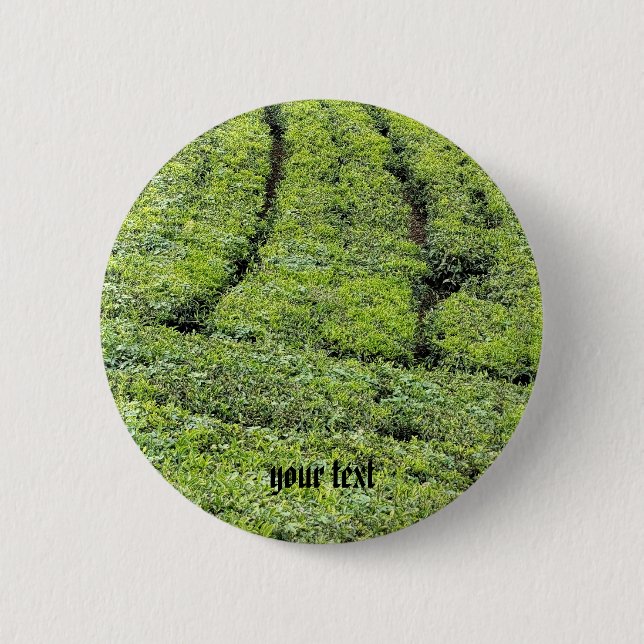 Tea gardens of Munnar on  6 Cm Round Badge (Front)