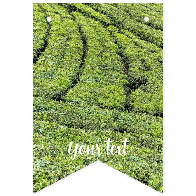 Tea gardens of Munnar on bunting flags (First Flag)