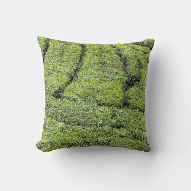 Tea gardens of Munnar on  Cushion (Front)