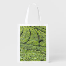 Tea gardens of Munnar on