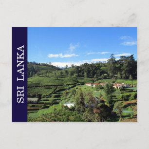 tea hills sri lanka postcard