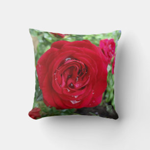 Tea Rose 16" x 16" Cushion