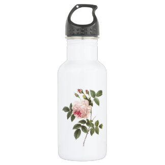 tea rose(Rosa indica) by Redouté 532 Ml Water Bottle