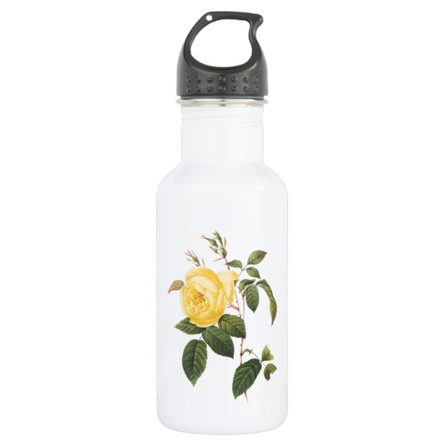 tea rose(Rosa indica) by Redouté 532 Ml Water Bottle (Front)