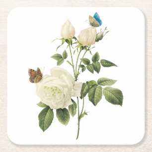 tea rose(Rosa indica) by Redouté Square Paper Coaster