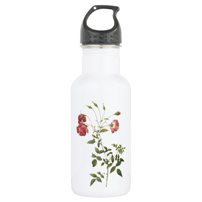 tea rose(Rosa indica sertulata) by Redouté 532 Ml Water Bottle (Front)