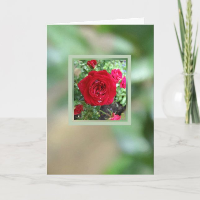 Tea Roses Inset Blank to Personalise Card (Front)