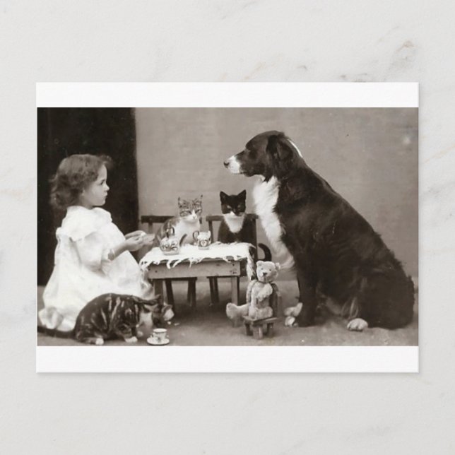 Tea Time Postcard (Front)