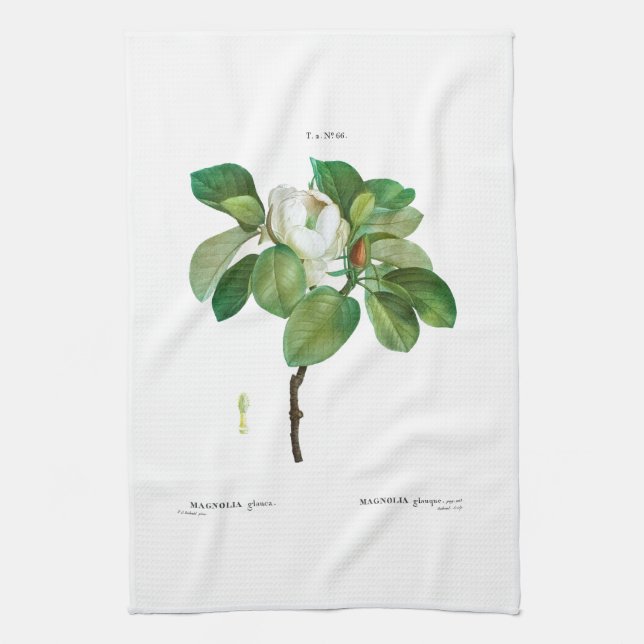 TEA TOWEL : BOTANICAL : REDOUTÉ : MAGNOLIA (Vertical)