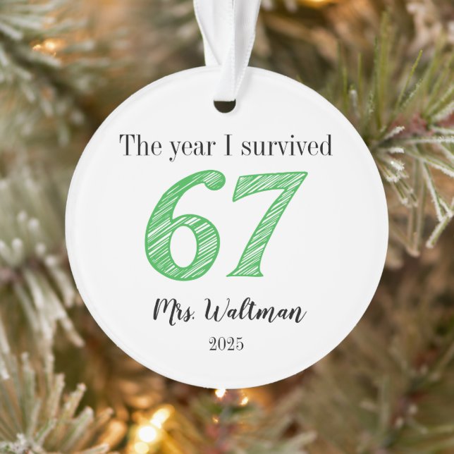 Teacher 67 Funny Meme Name Gift Ornament (Tree)