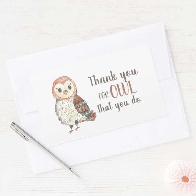 Teacher Appreciation Owl Thank You Rectangular Sticker (Envelope)