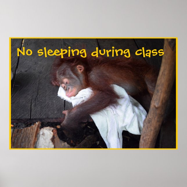 Teacher Classroom Rules Poster (Front)