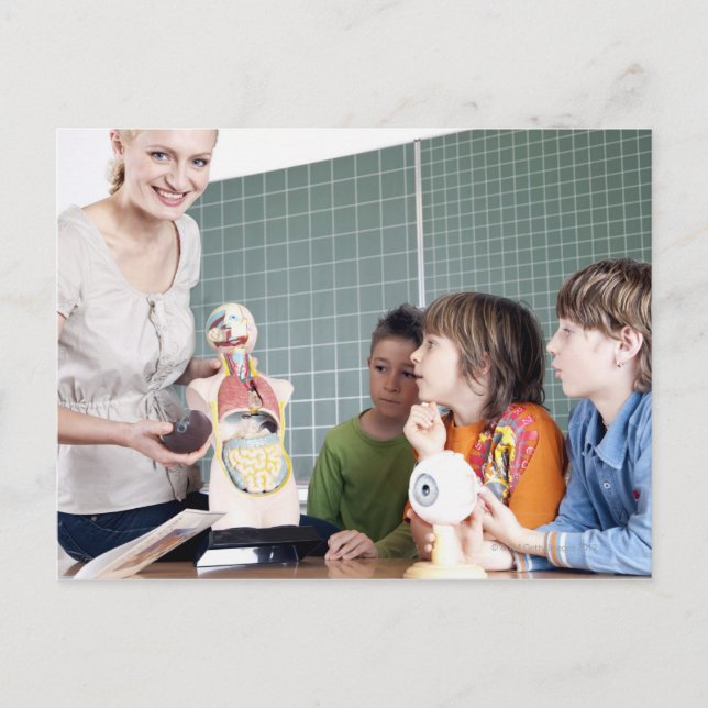 teacher demonstrating model of human body to postcard (Front)