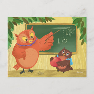 Teacher Owl Blank Postcard