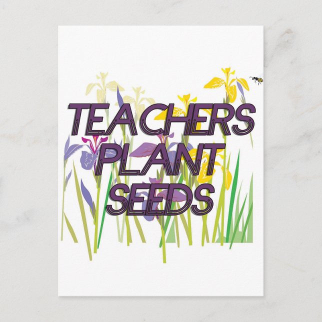 TEACHER PLANT SEEDS POSTCARD (Front)