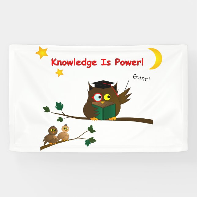 Teaching Wise Owl Banner (Horizontal)
