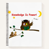 Teaching Wise Owl