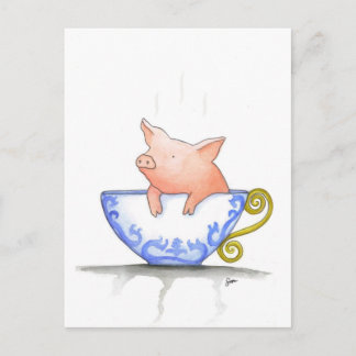 Teacup Pig Print Postcard