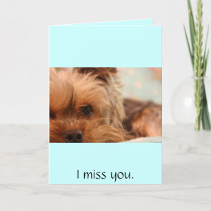 teacup yorkie puppy card