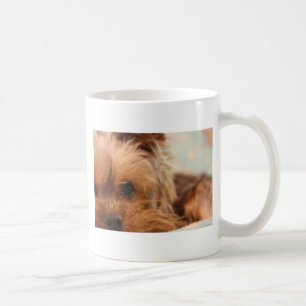 teacup yorkie puppy coffee mug