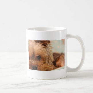 teacup yorkie puppy coffee mug