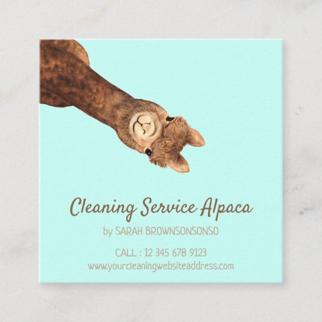 teal Alpaca Square Business Card (Front)
