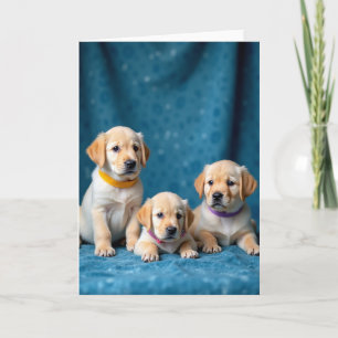 Teal Backdrop Fathers Day Card