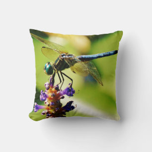 Teal & blue Dragonfly Cushion