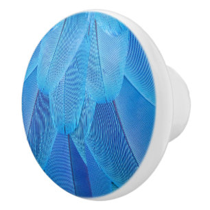 Teal Blue Feathers of the Macaw Parrot Ceramic Knob