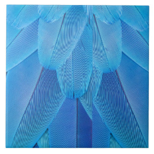 Teal Blue Feathers of the Macaw Parrot Tile
