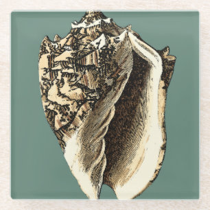 Teal Conch Shell Glass Coaster